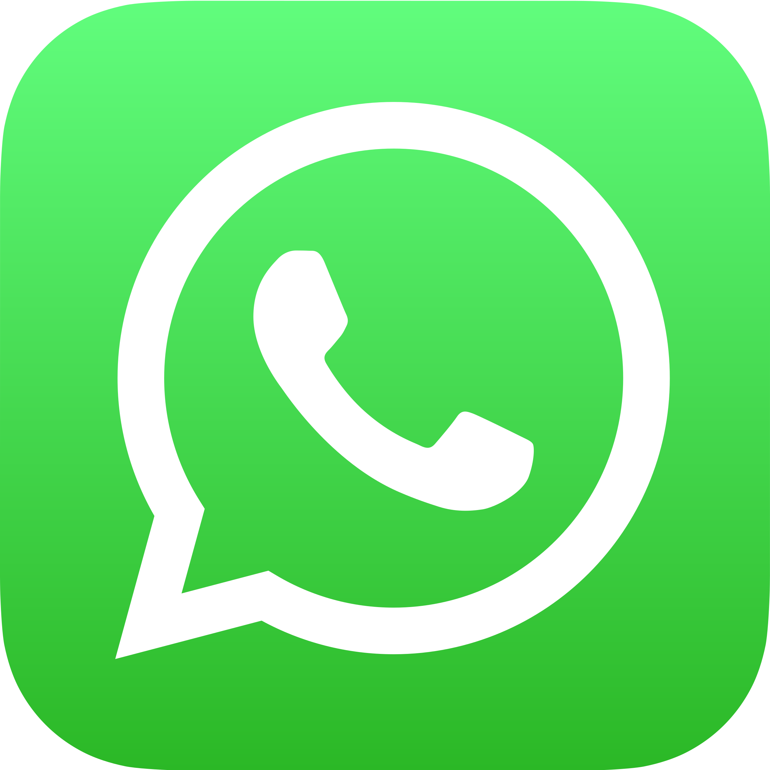 Chat with Whatsapp