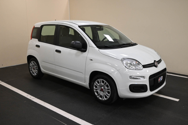 FIAT Panda 1.0 FireFly S&S Hybrid Panda - Concessionario auto nuove usate autonoleggio Arezzo