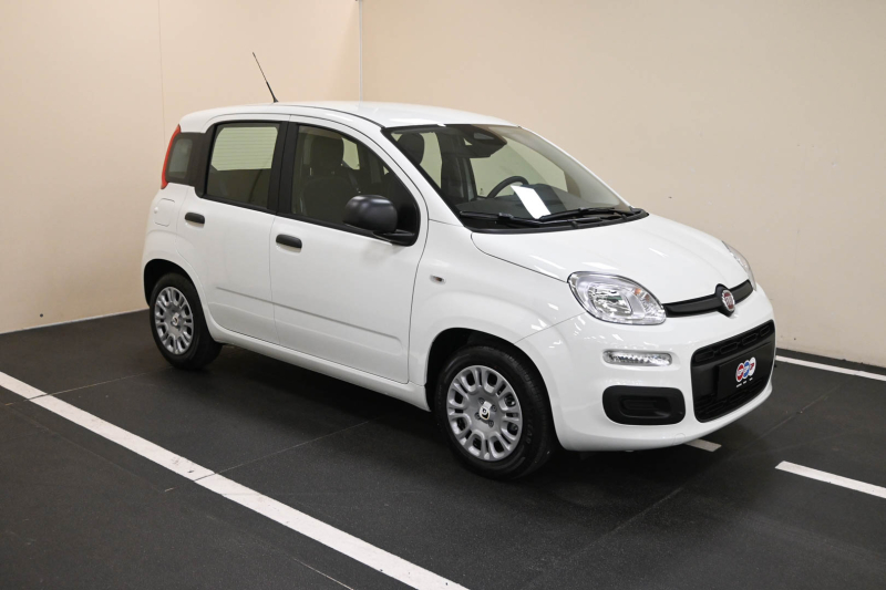 FIAT Panda 1.0 FireFly S&S Hybrid - Concessionario auto nuove usate autonoleggio Arezzo