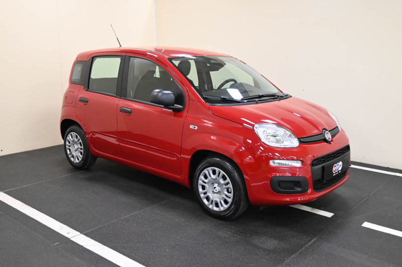 FIAT Panda 1.0 FireFly S&S Hybrid - Concessionario auto nuove usate autonoleggio Arezzo