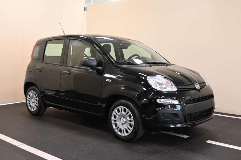 FIAT Panda 1.0 FireFly S&S Hybrid - Concessionario auto nuove usate autonoleggio Arezzo