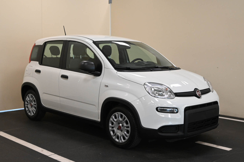 FIAT Panda 1.0 FireFly S&S Hybrid - Concessionario auto nuove usate autonoleggio Arezzo