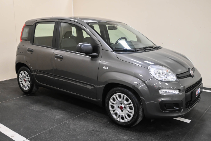 FIAT Panda 1.0 FireFly S&S Hybrid - Concessionario auto nuove usate autonoleggio Arezzo