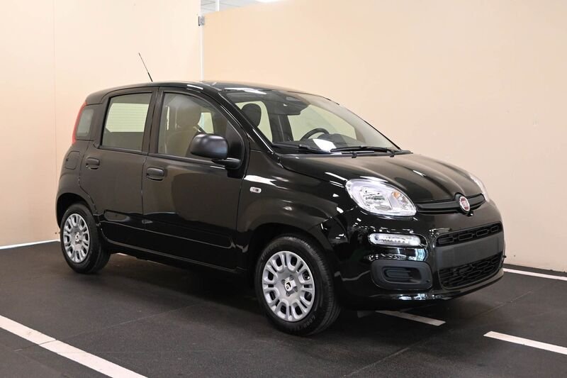 FIAT Panda 1.0 FireFly S&S Hybrid - Concessionario auto nuove usate autonoleggio Arezzo